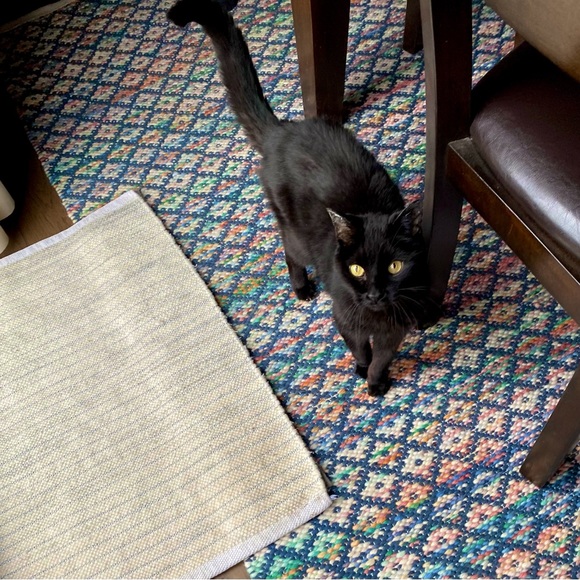 Shadow - Picture 1 of 1